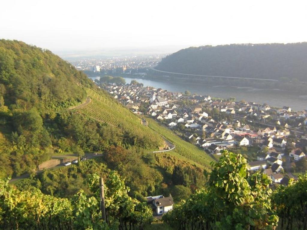 Hotel Am Martinsberg Andernach Esterno foto